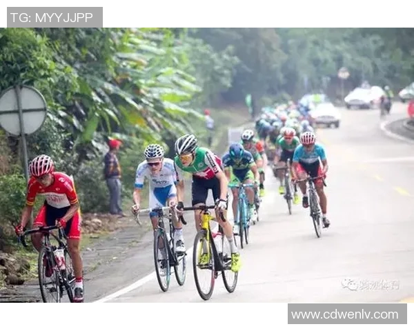 维快速与莫斯巴达的激烈对决谁能在赛场上笑到最后